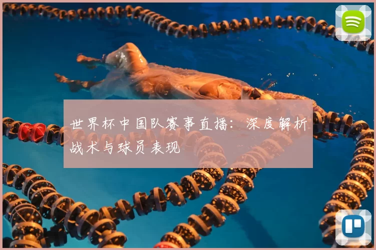世界杯中国队赛事直播：深度解析战术与球员表现