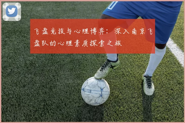 飞盘竞技与心理博弈:深入南京飞盘队的心理素质探索之旅