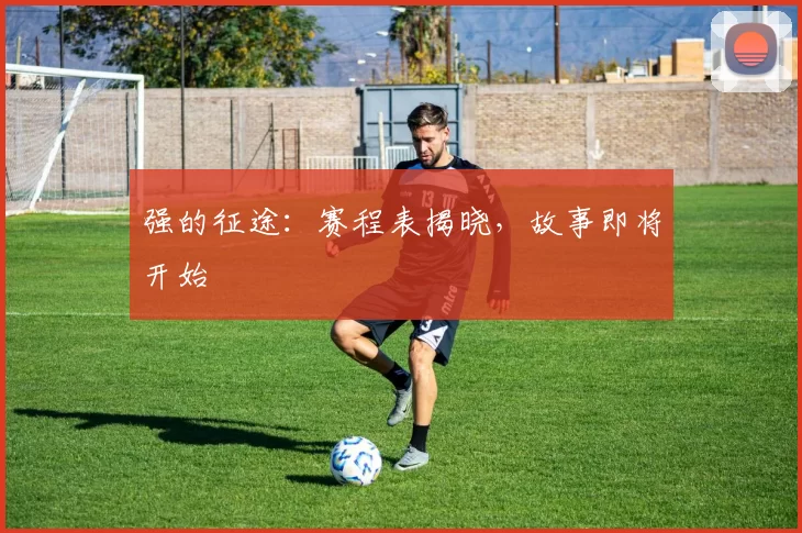 强的征途:赛程表揭晓,故事即将开始