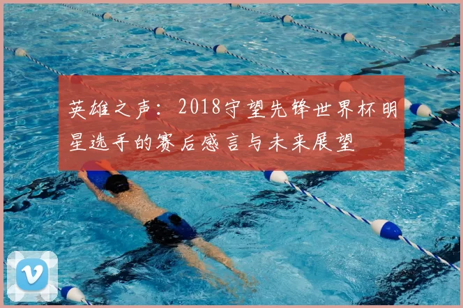 英雄之声：2018守望先锋世界杯明星选手的赛后感言与未来展望