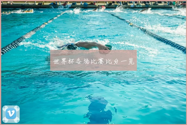 世界杯各场比赛比分一览