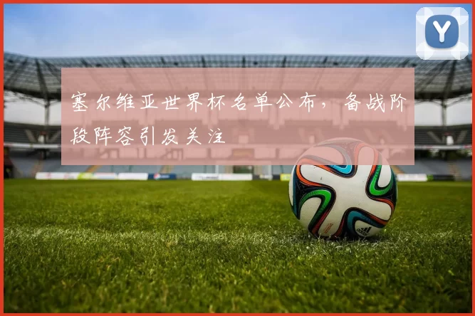 塞尔维亚世界杯名单公布,备战阶段阵容引发关注