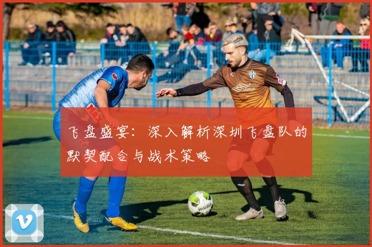 飞盘盛宴:深入解析深圳飞盘队的默契配合与战术策略