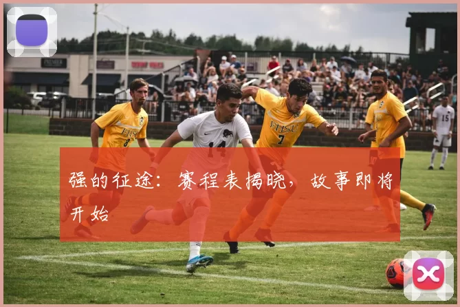 强的征途：赛程表揭晓，故事即将开始