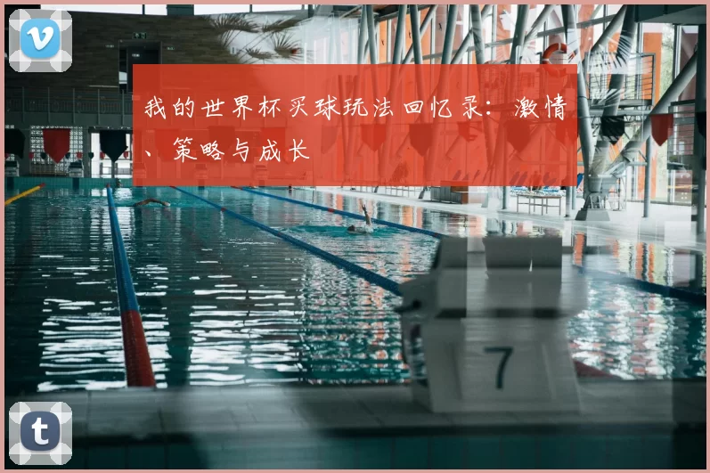 我的世界杯买球玩法回忆录:激情、策略与成长