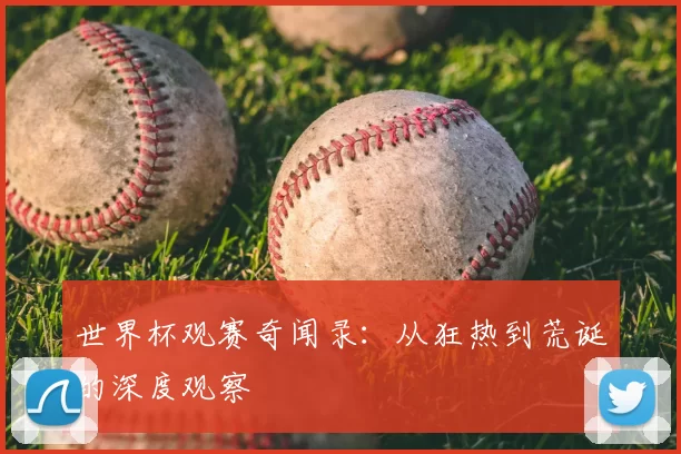 世界杯观赛奇闻录：从狂热到荒诞的深度观察