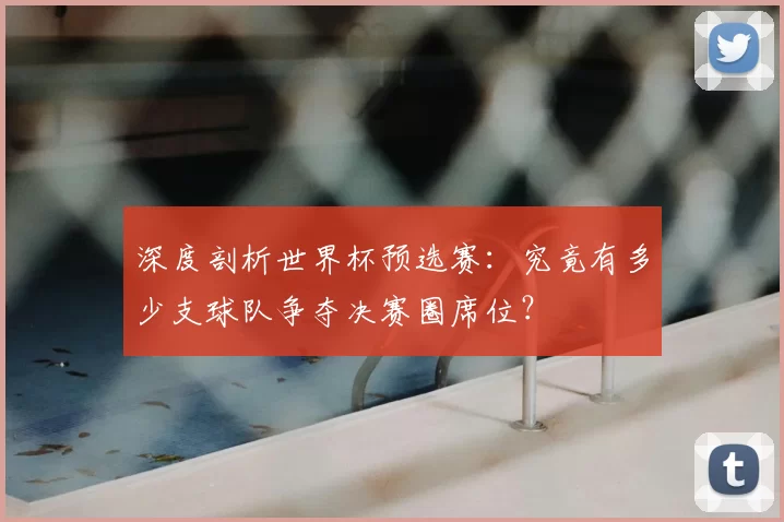 深度剖析世界杯预选赛:究竟有多少支球队争夺决赛圈席位?