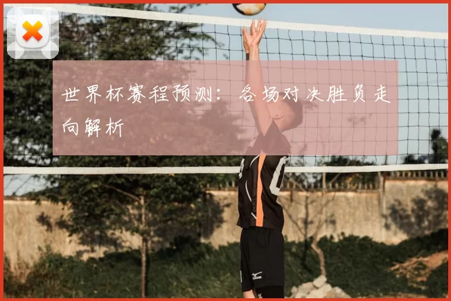 世界杯赛程预测:各场对决胜负走向解析