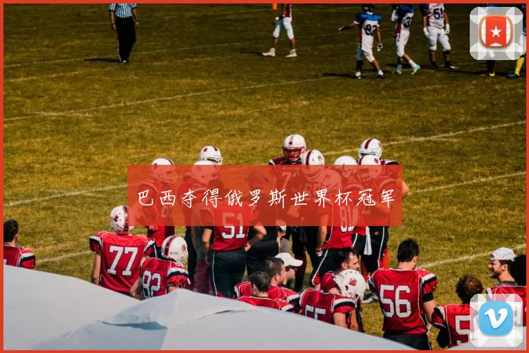 巴西夺得俄罗斯世界杯冠军